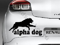 Альфа дог